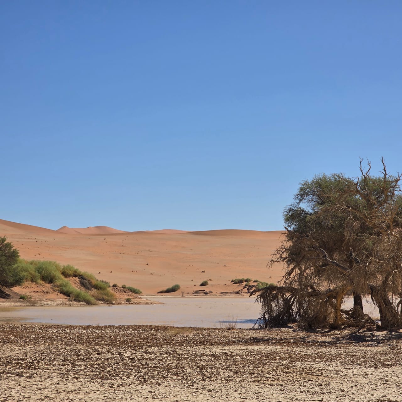 Deadvlei