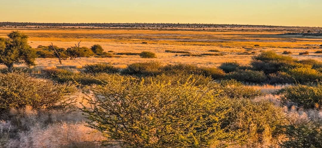 Full Namibia