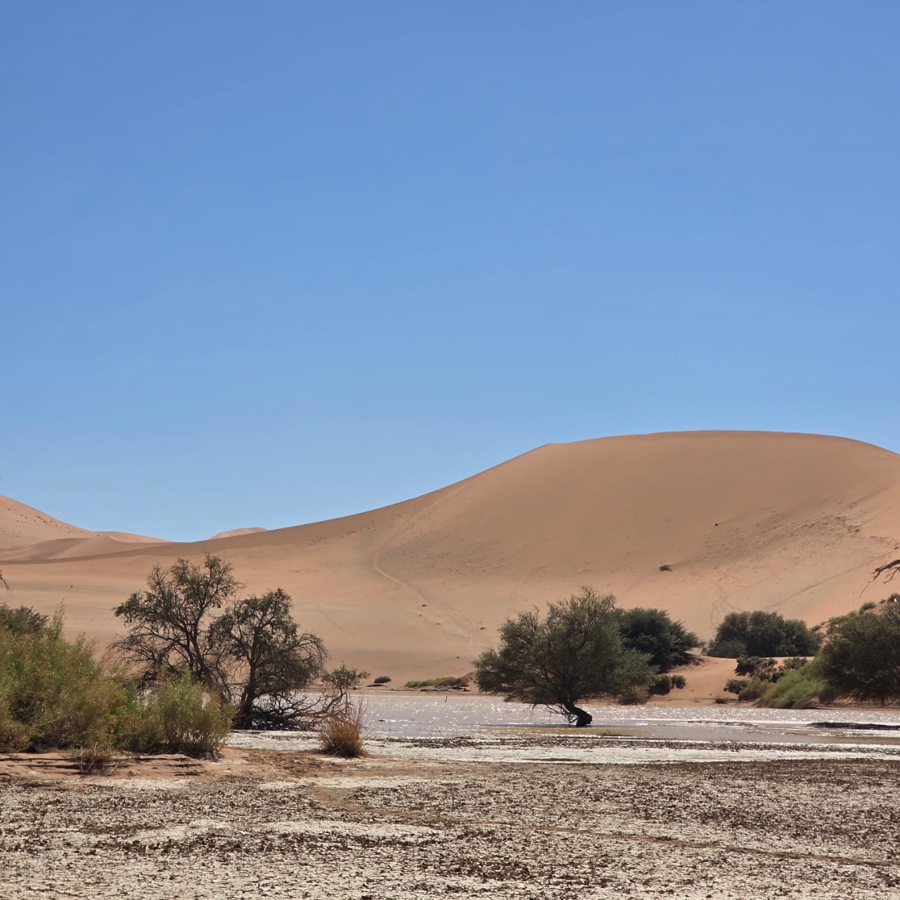 Sossusvlei